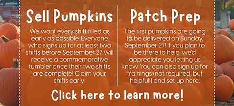 pumpkins for web (1).png