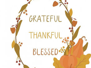 Food Pantry Holiday Drive