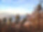 20241130_082807.jpg