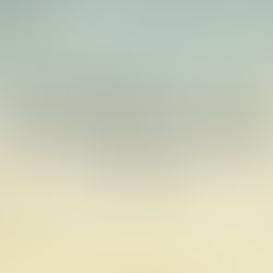 How To Get More With Gratitude