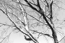 IMG_9053