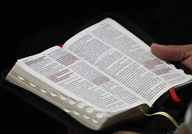 FB_IMG_1768017648050 (1).jpg