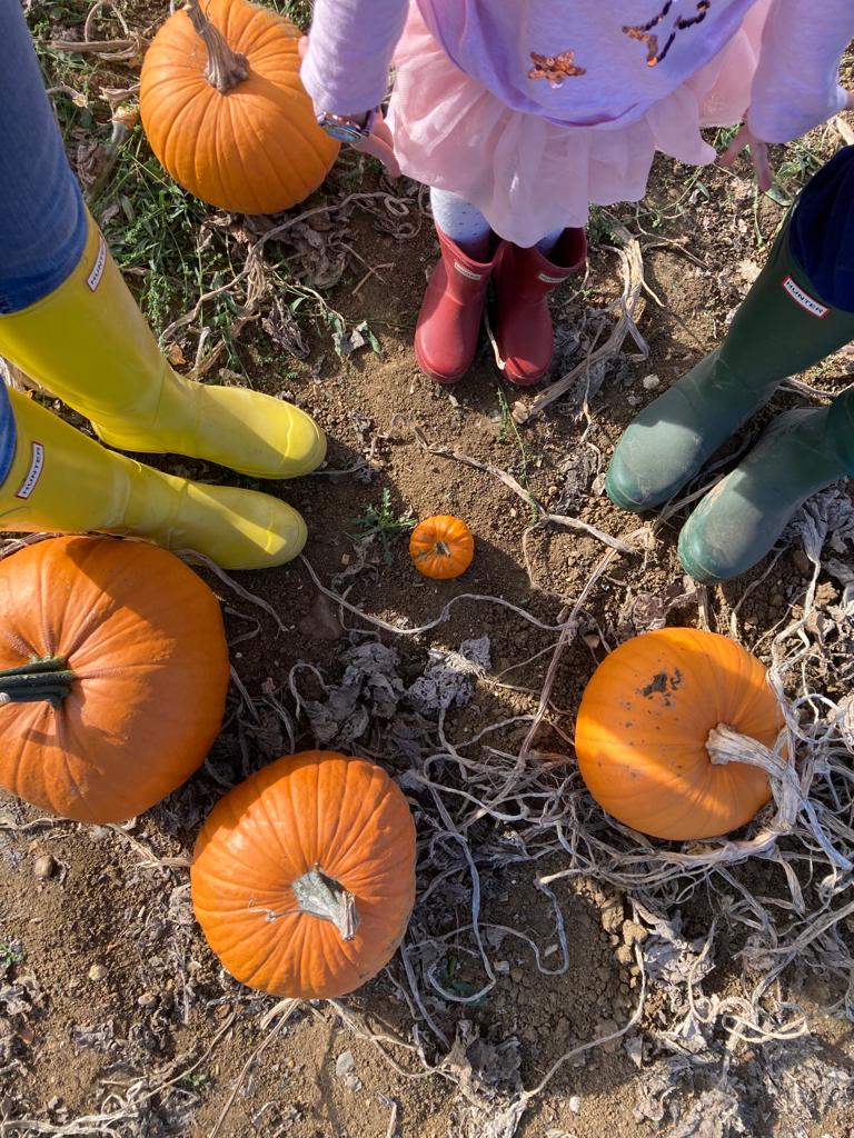 Seasonal visit at Squarecrows