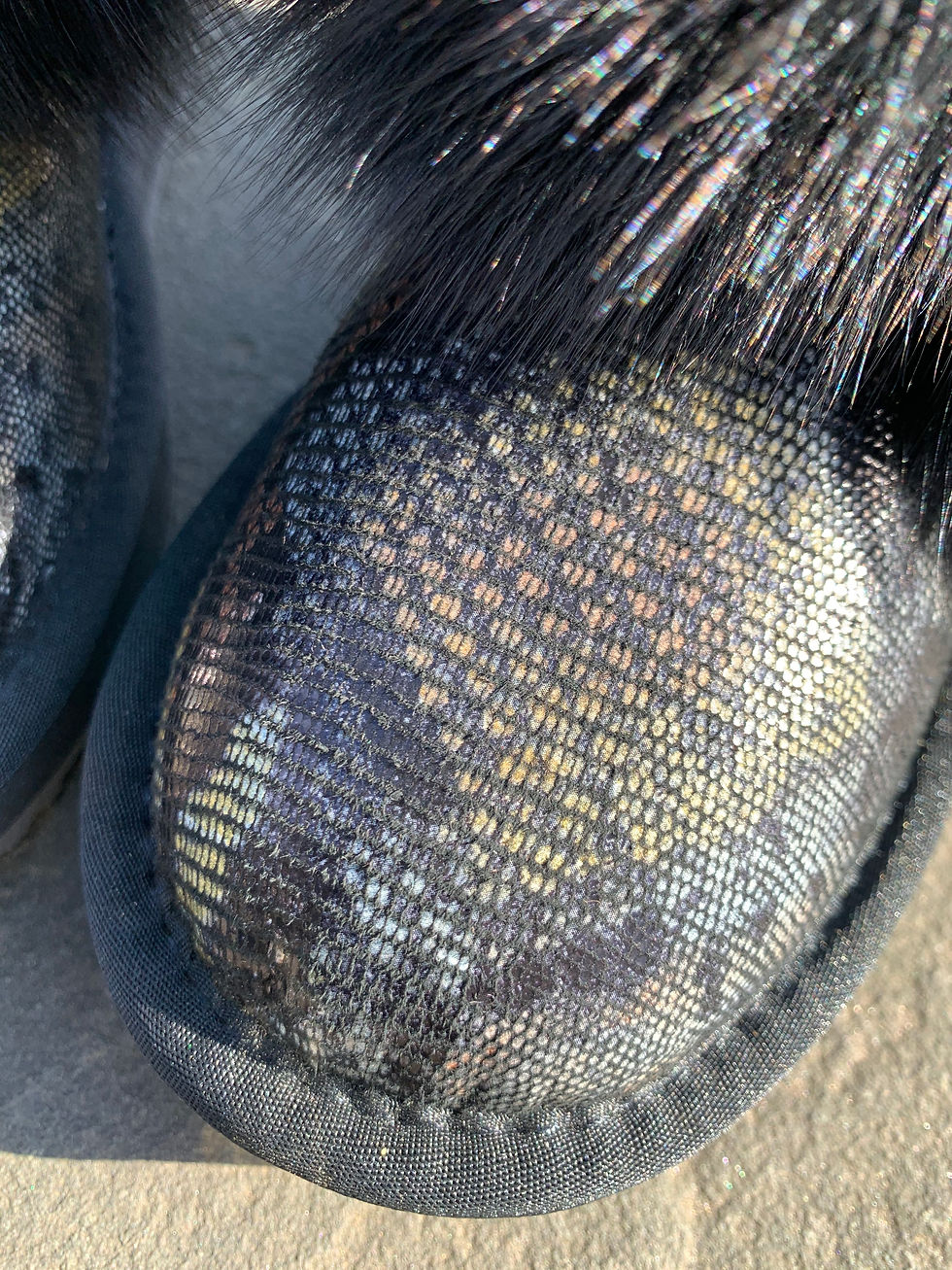 Thumbnail: SALALI SHEEPSKIN BOOT IN SAMBA SNAKE