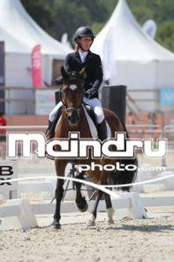Dressage Marie-josé