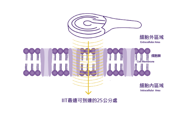 999_工作區域 1.png