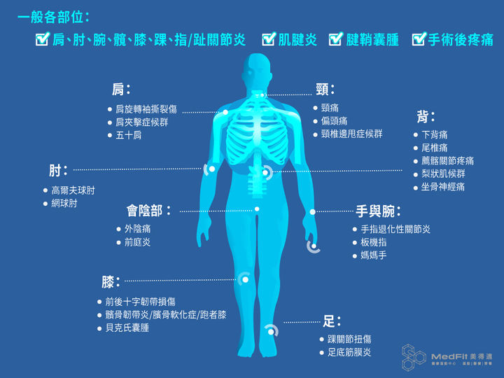 人體圖(修改).jpg