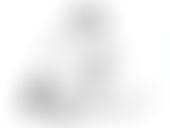 A raccoon stepping from a box that says 2025 to one that says 2026