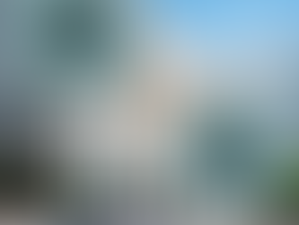 Mold-borne STI discovered in Pitman Hall