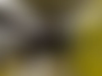 Zanzibar offers $1.7M to rename Dundas Station "Zanzibar Station"