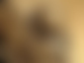 TMU launches eight-year double-major program opportunities