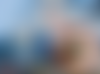 An image of the SLC with a picture of a barking dog in a red circle on top of it. There is an arrow extending from the SLC to the red circle.