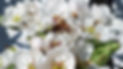 20200404_162633_edited_edited.jpg
