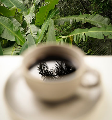 Kaffekopp med palme-7485-2.jpg