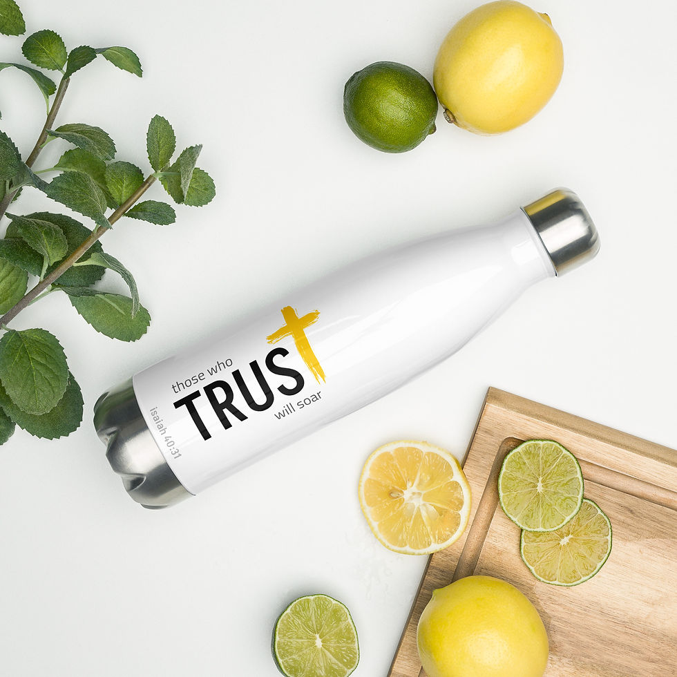 Yellow Cross Collection 2026