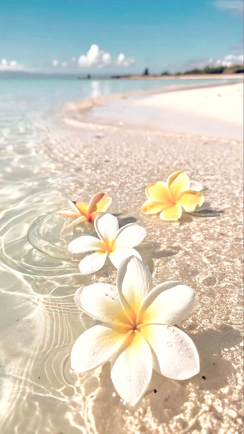 透明な波打ち際に浮かぶプルメリアの花。優しさとハワイの祈りを表現