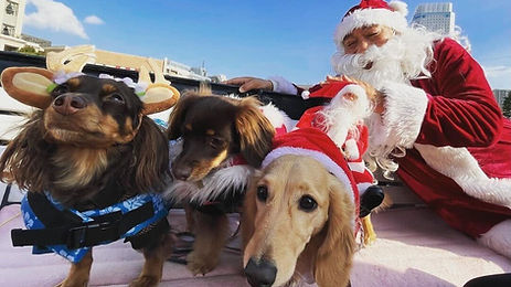 Image from iOS (41).jpg