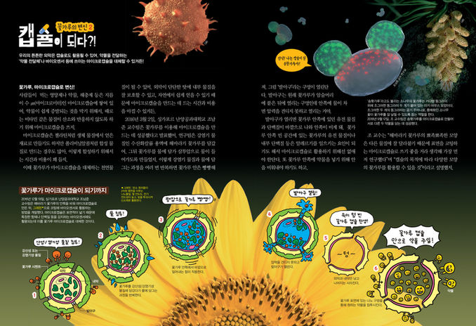 0501 Kids DongA Science_Pollen Feature Article-4.jpg