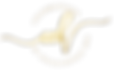 CEH(3).png