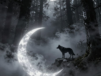 Dark‑Romantic Author’s Reflection