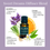 Thumbnail: Sweet Dreams Diffuser Blend