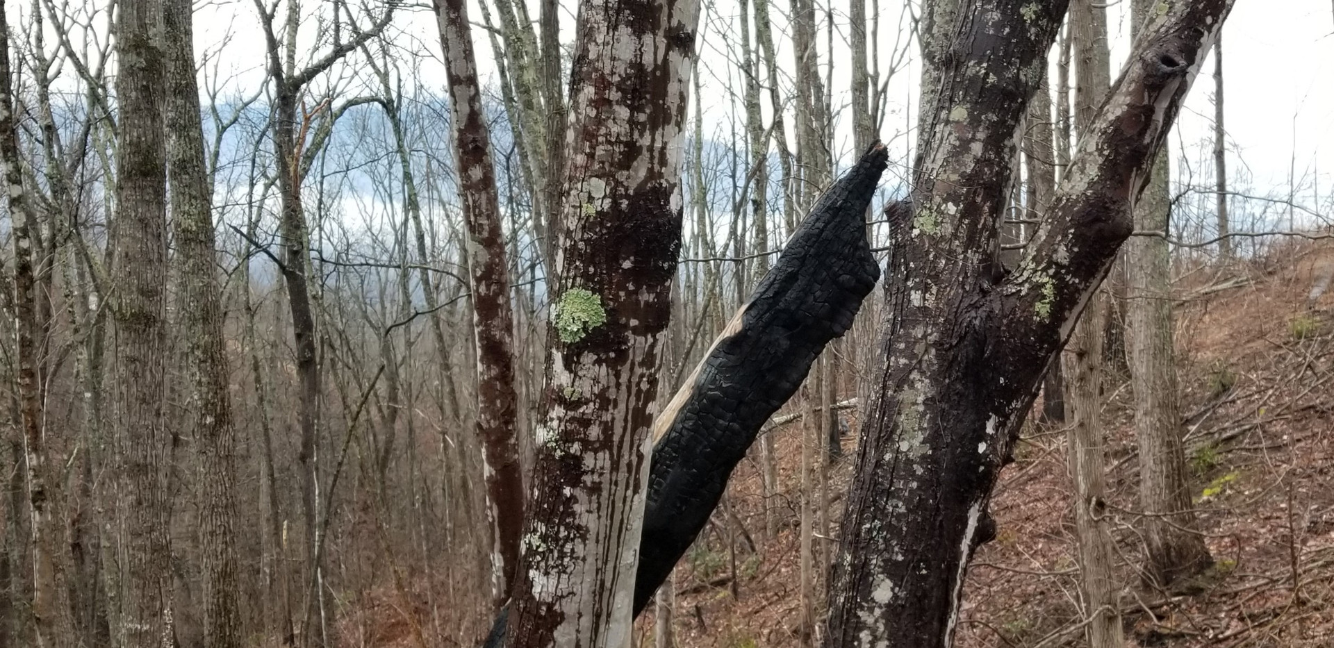 Cobbly Nob Property Owners Association Gatlinburg, TN