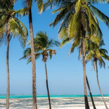 Capture d’écran 2023-03-09 à 14.40.53.png