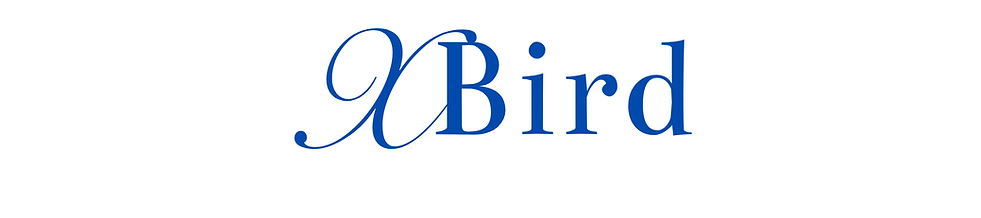 Xbird 布.png