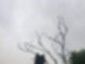 4E809AB9-8099-4DB3-A7C7-67FC3DA26756.jpeg