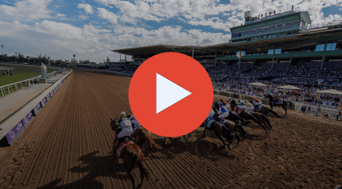 Breeders' Cup Horse Racing 2023 Live