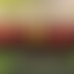 Congratulations to the Bears!