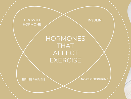 How hormones affect exercise and how to manage them (part 2 of 2)