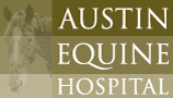 Austin Equine Hospital