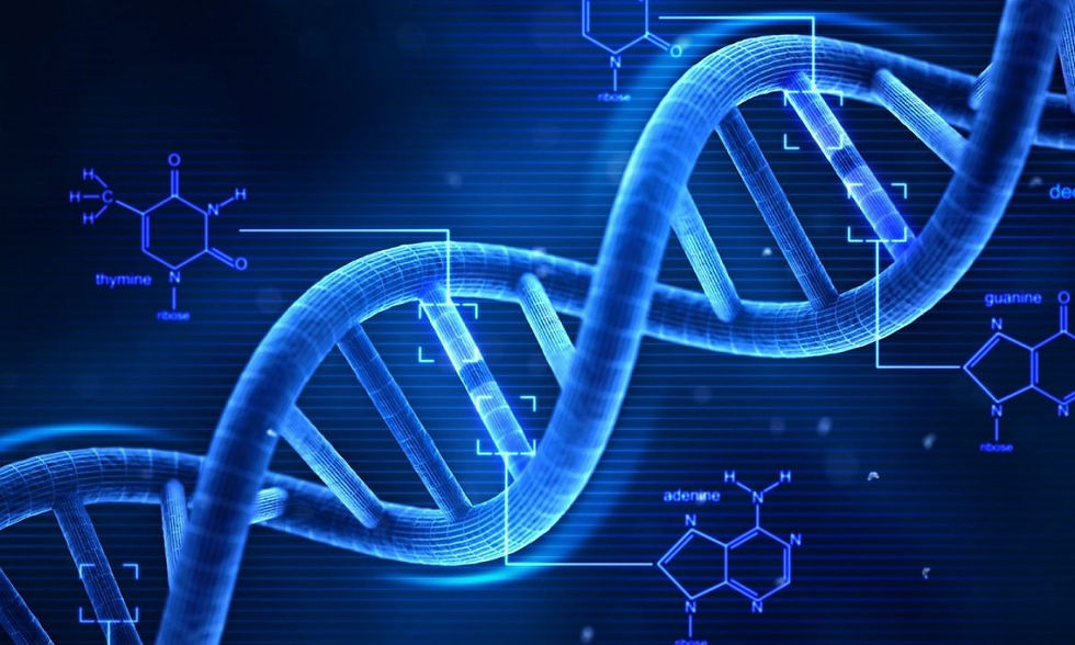 adn-2-e1505289652605