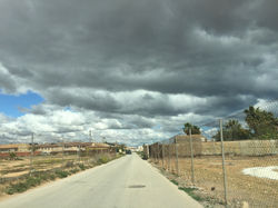 Gris en el camino