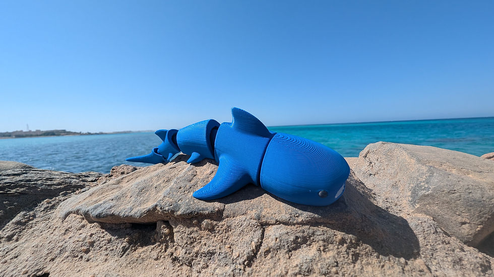 Thumbnail: Whale Shark