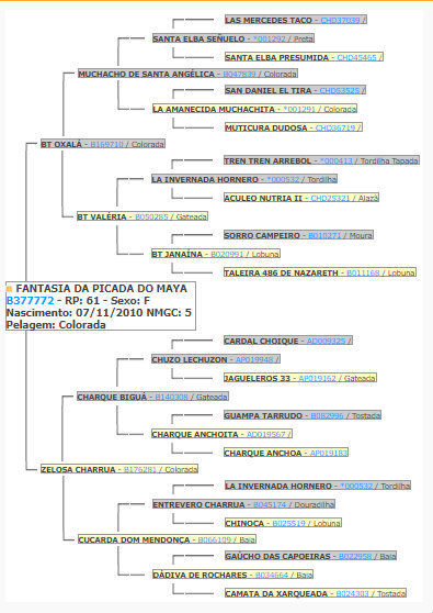 Miniatura: PACOTE/ 03 ÉGUAS CONFIRMADAS