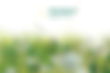 Wiese3.png