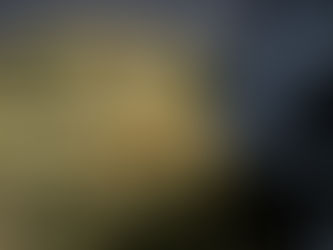 Best Cannabis Dispensaries in Wasilla, Alaska (2026 Guide)