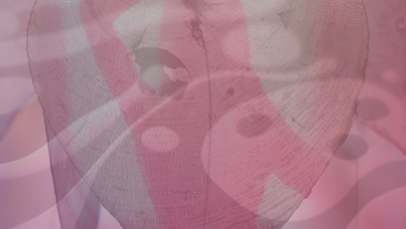 Self Love and Psychedelics: A Rewarding Path