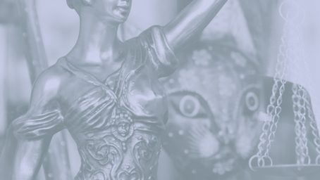 The Legalization of Psilocybin and Other Psychedelics: A Growing Movement