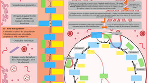 Já pensou em aprender Bioquímica brincando?
