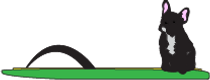 jules vector web.png