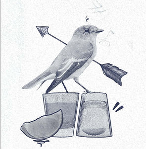 mockingbird.jpg