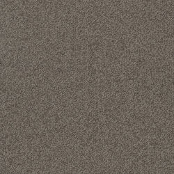 BIRDWOOD Magarey JTFLOORS