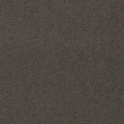 BIRDWOOD Winton JTFLOORS