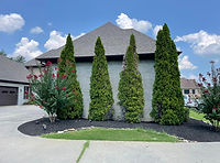 Vision Landscape 1.jpg