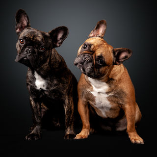 Carolyves Bélair Photographe-16-2.jpg