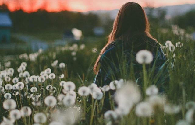 Sanar equivale a Aceptar