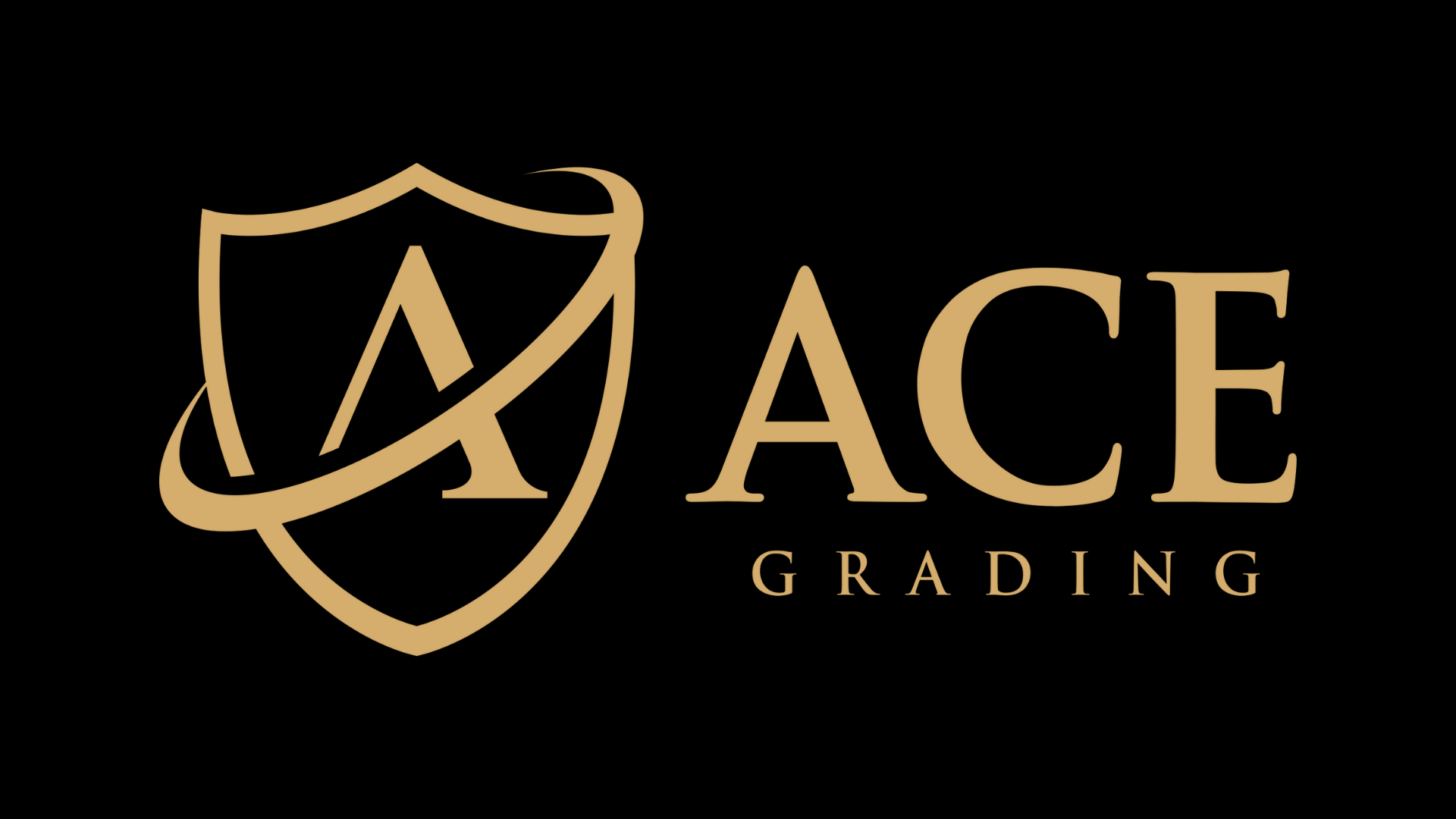 Ace grading logo